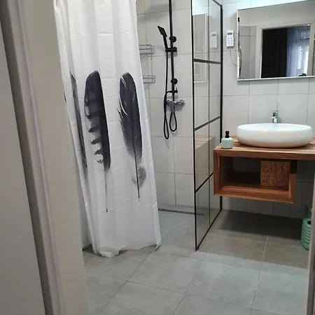Kaktusz *
